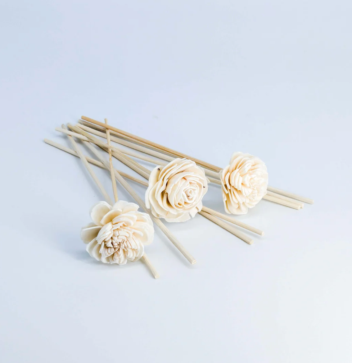 REED DIFFUSER-PARIS