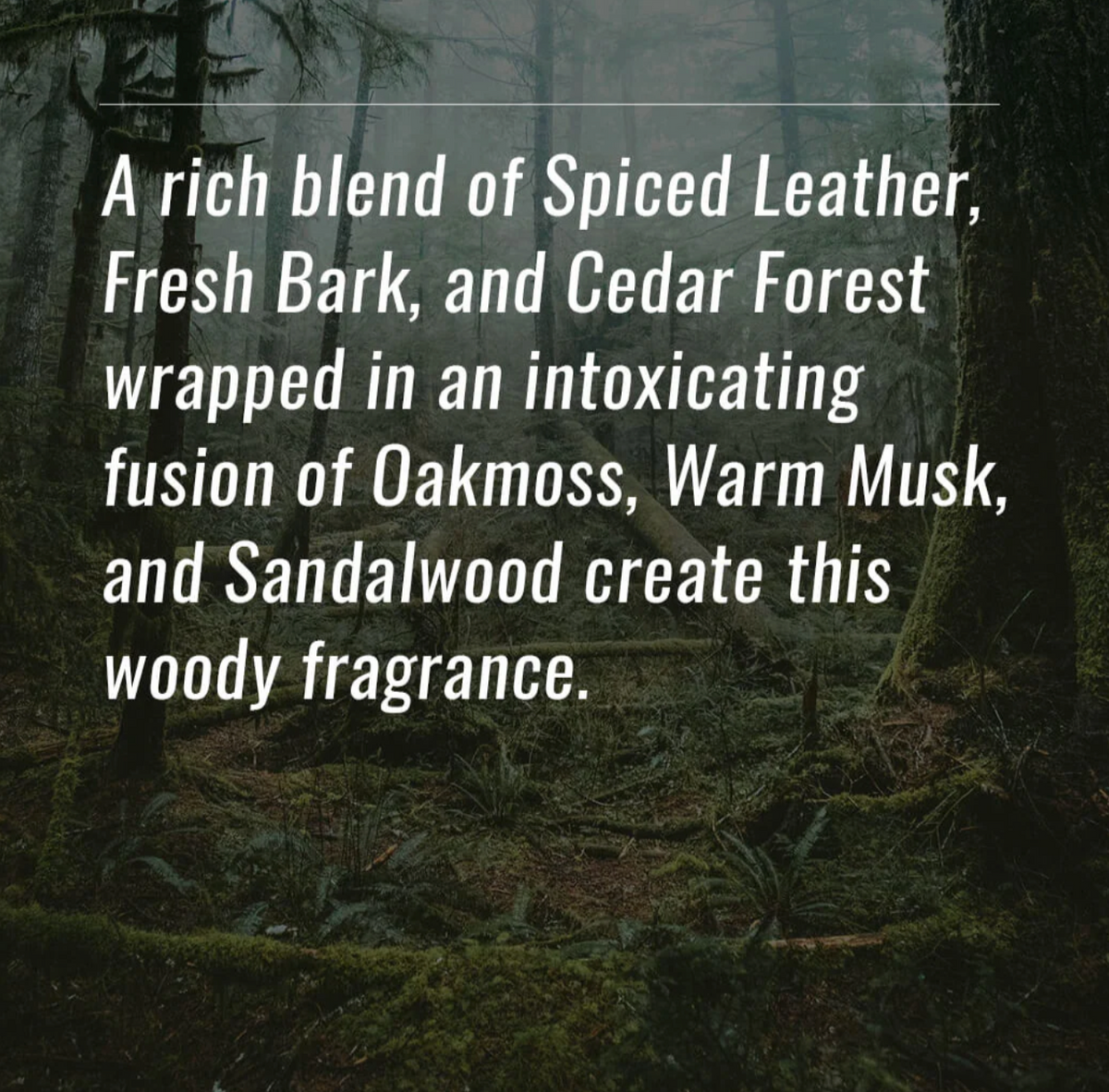 4-Wick Luxe Candle-Sandalwood & Leather