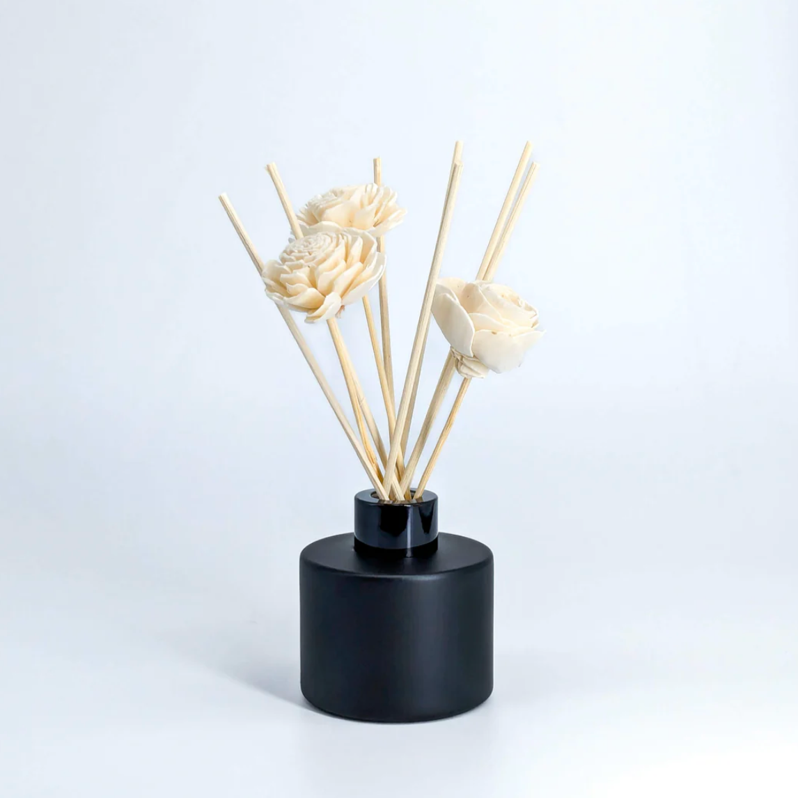 REED DIFFUSER-PARIS