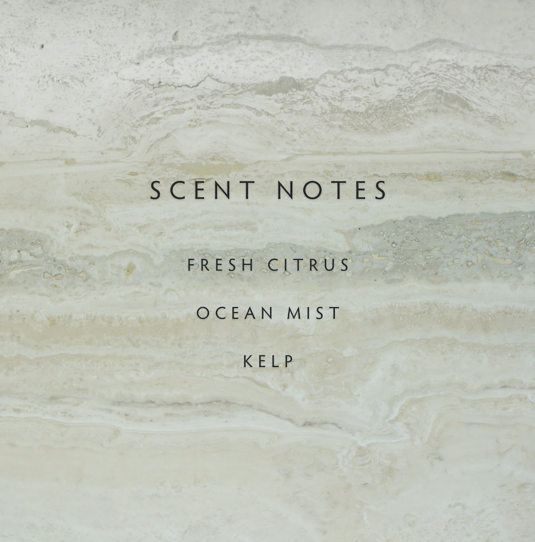 Sea Salt Reed Diffuser Kit