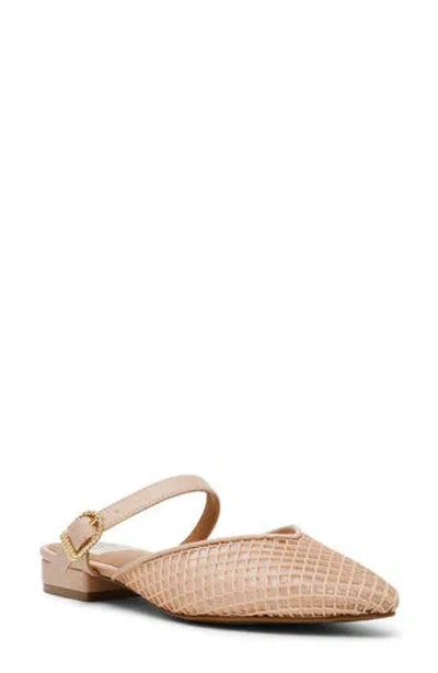 DOMAIN FOOTWEAR